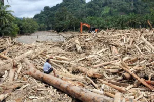 Banjir Sumatra, Korban Jiwa Bertambah Jadi 604 Orang