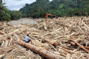 Banjir Sumatra, Korban Jiwa Bertambah Jadi 604 Orang